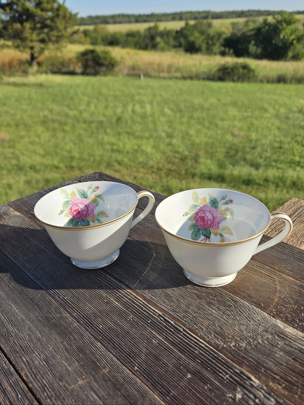 Lot of 2 Vintage Noritake Sharon Tea Cups #3057 Japan Porcelain Pink Rose Gold